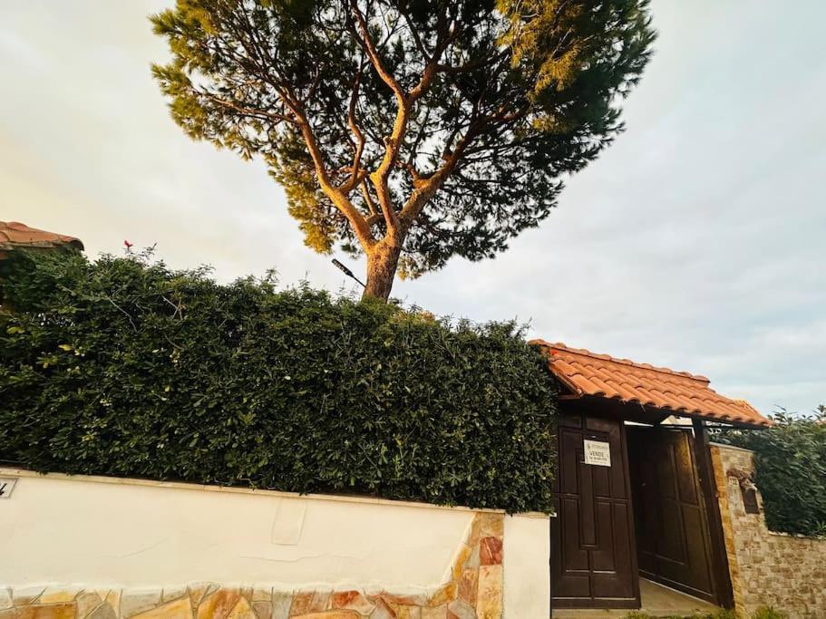 Fontana House Villa Marina di Cerveteri Eksteriør billede